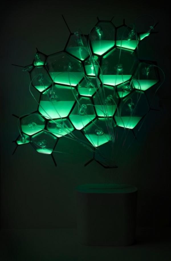 Биолюминесцентные лампы от Philips 